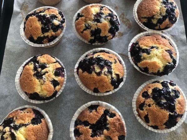 Amerikanska blåbärsmuffins